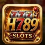 HI309-Game-Logo