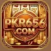 PKR656-Game-Logo