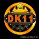 DK11 Game