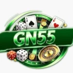 GN55-game