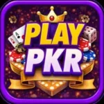 Playpkr-game-Logo